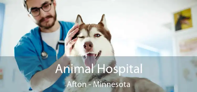 Animal Hospital Afton - Minnesota