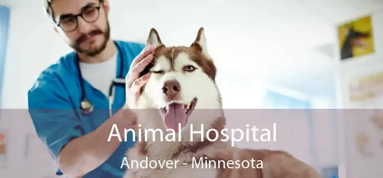 Animal Hospital Andover - Minnesota