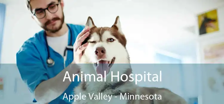 Animal Hospital Apple Valley - Minnesota