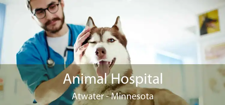 Animal Hospital Atwater - Minnesota