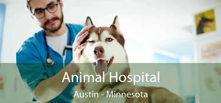 Animal Hospital Austin - Minnesota