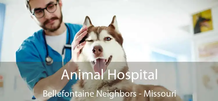 Animal Hospital Bellefontaine Neighbors - Missouri