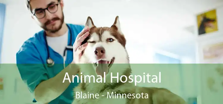 Animal Hospital Blaine - Minnesota