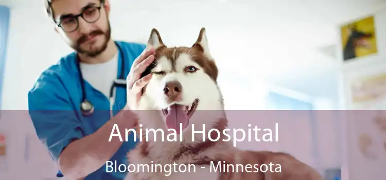 Animal Hospital Bloomington - Minnesota