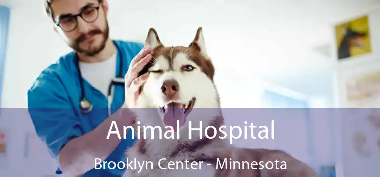 Animal Hospital Brooklyn Center - Minnesota