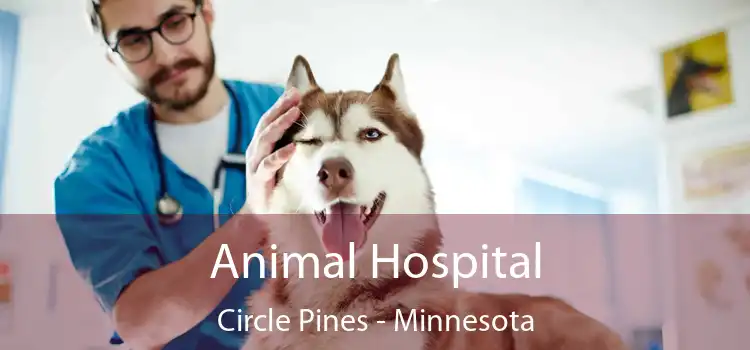 Animal Hospital Circle Pines - Minnesota