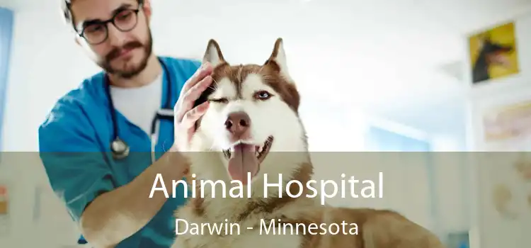 Animal Hospital Darwin - Minnesota