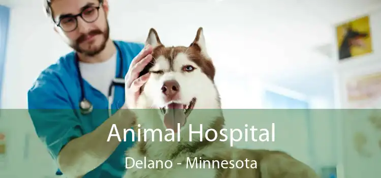 Animal Hospital Delano - Minnesota