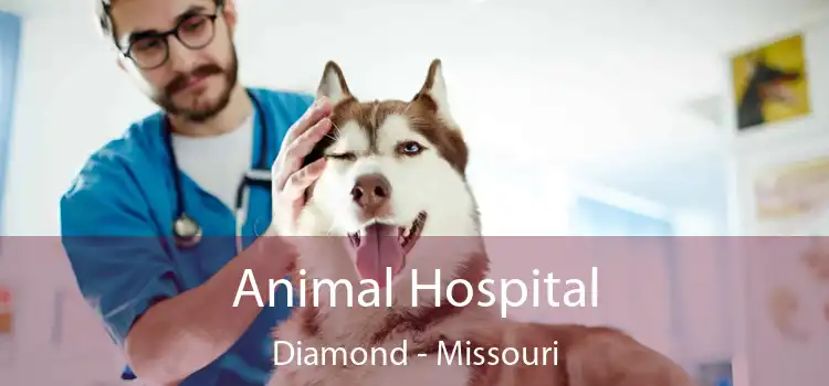 Animal Hospital Diamond - Missouri