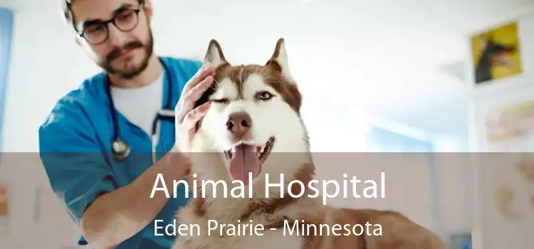 Animal Hospital Eden Prairie - Minnesota