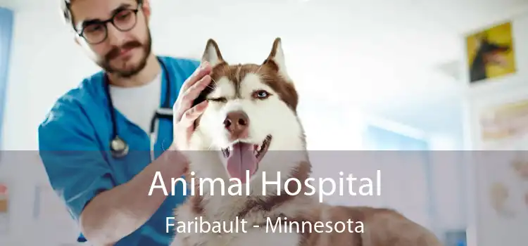 Animal Hospital Faribault - Minnesota