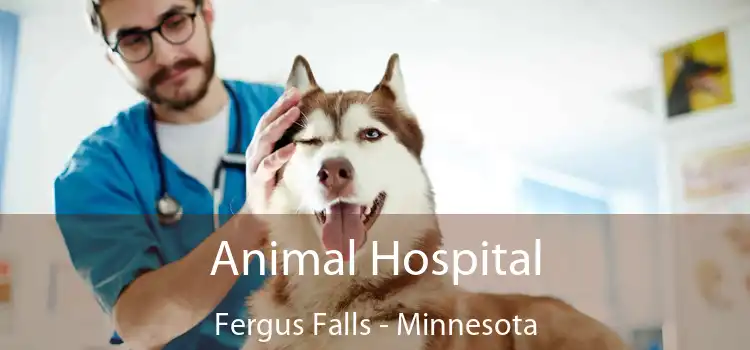 Animal Hospital Fergus Falls - Minnesota