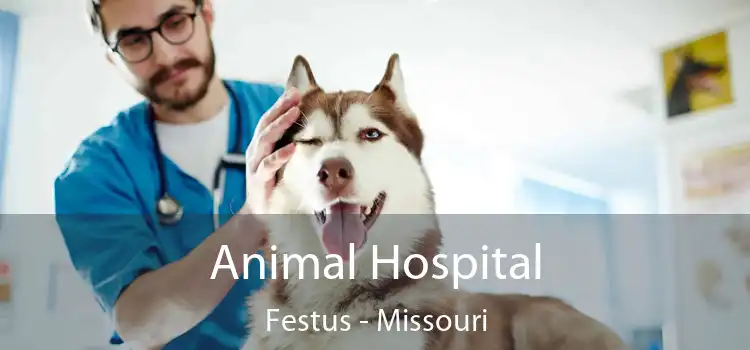 Animal Hospital Festus - Missouri