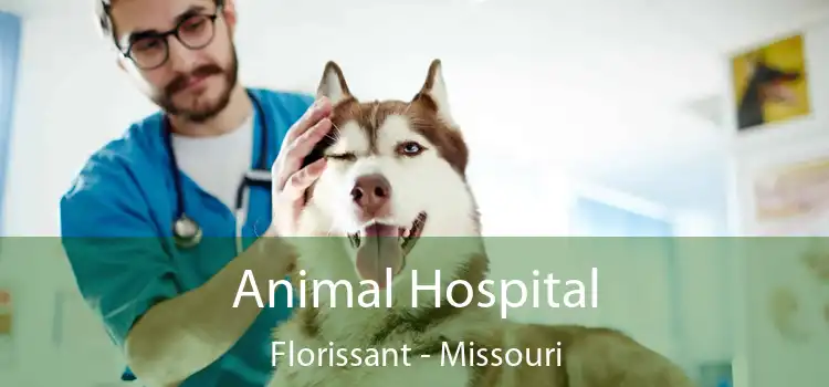 Animal Hospital Florissant - Missouri