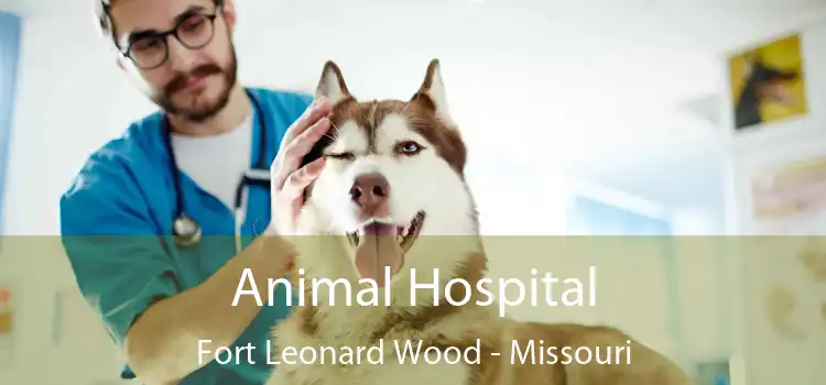 Animal Hospital Fort Leonard Wood - Missouri