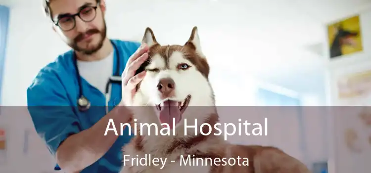 Animal Hospital Fridley - Minnesota