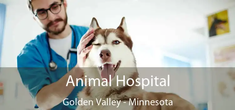 Animal Hospital Golden Valley - Minnesota