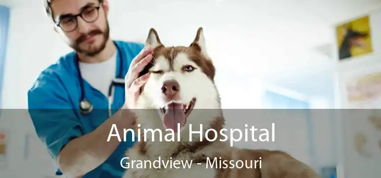 Animal Hospital Grandview - Missouri