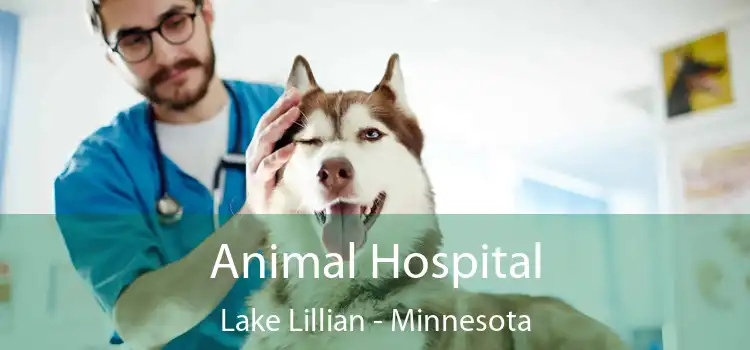 Animal Hospital Lake Lillian - Minnesota