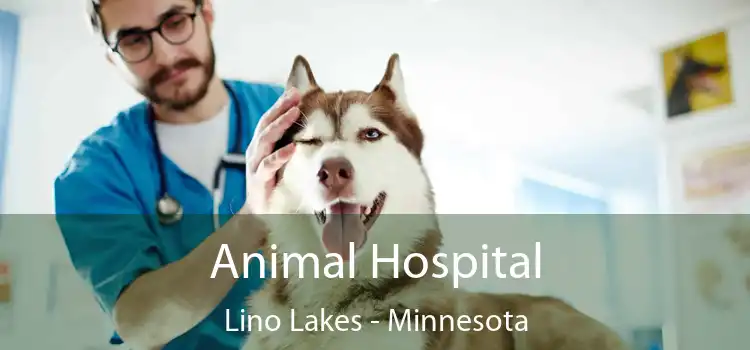 Animal Hospital Lino Lakes - Minnesota