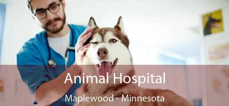 Animal Hospital Maplewood - Minnesota