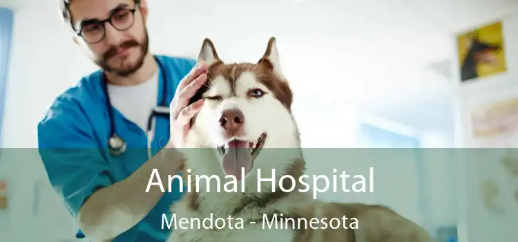 Animal Hospital Mendota - Minnesota