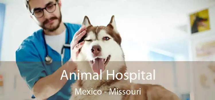 Animal Hospital Mexico - Missouri