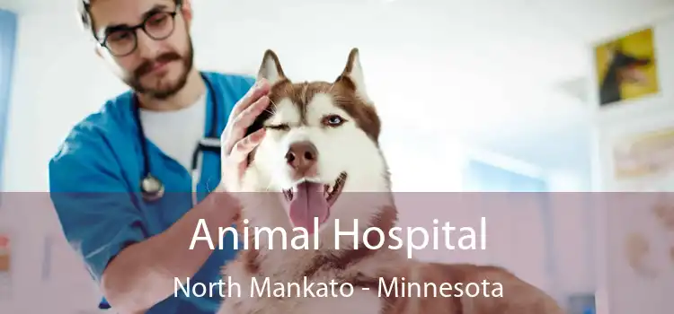 Animal Hospital North Mankato - Minnesota