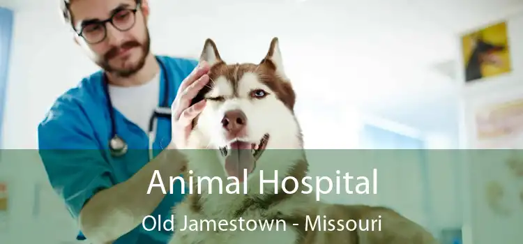 Animal Hospital Old Jamestown - Missouri