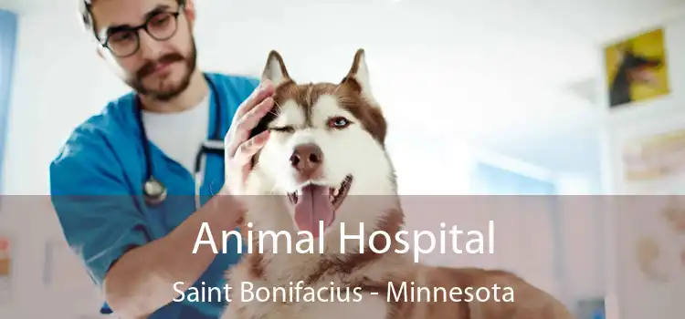 Animal Hospital Saint Bonifacius - Minnesota