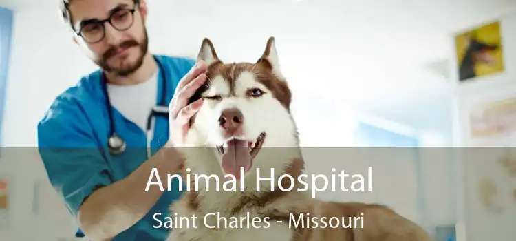 Animal Hospital Saint Charles - Missouri