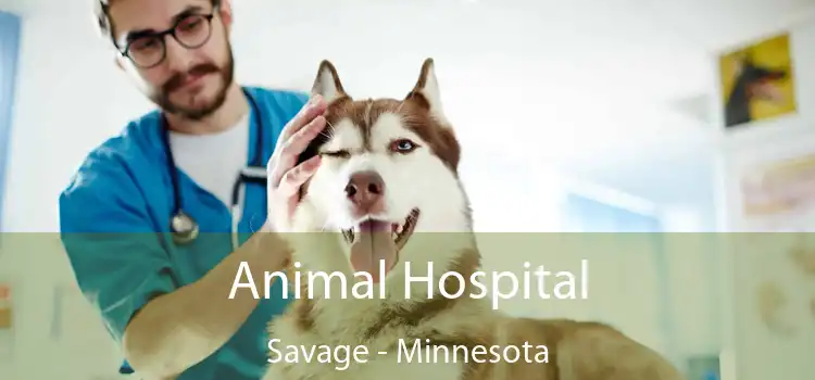 Animal Hospital Savage - Minnesota