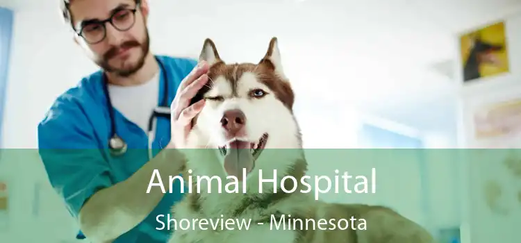 Animal Hospital Shoreview - Minnesota