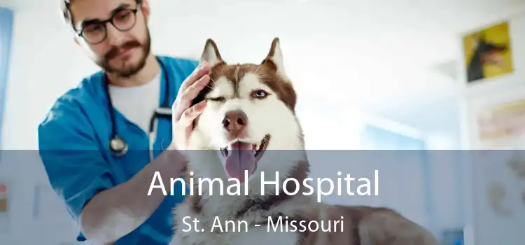 Animal Hospital St. Ann - Missouri