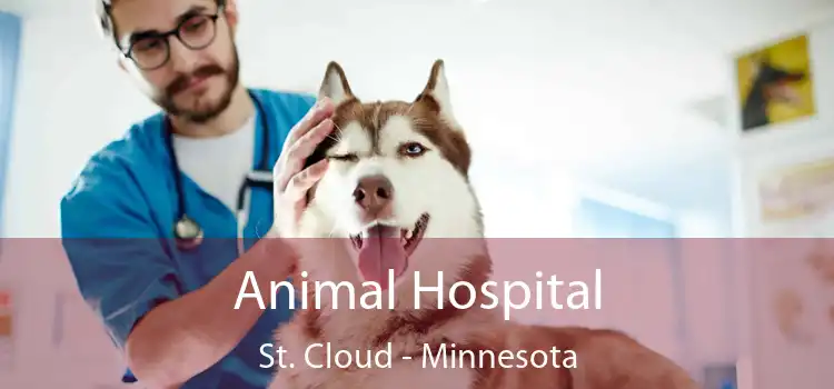 Animal Hospital St. Cloud - Minnesota