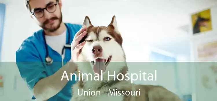 Animal Hospital Union - Missouri