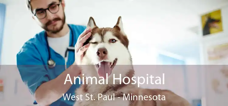 Animal Hospital West St. Paul - Minnesota