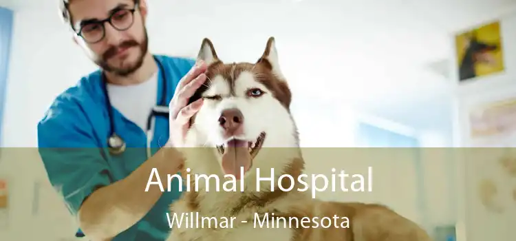 Animal Hospital Willmar - Minnesota