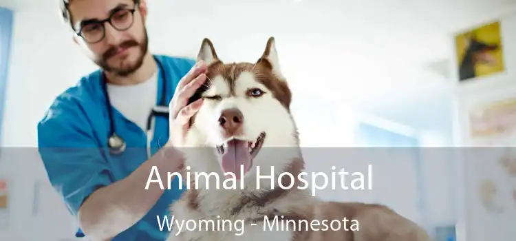 Animal Hospital Wyoming - Minnesota