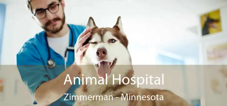 Animal Hospital Zimmerman - Minnesota