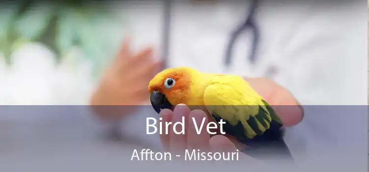 Bird Vet Affton - Missouri