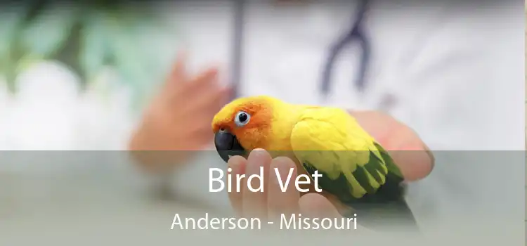 Bird Vet Anderson - Missouri