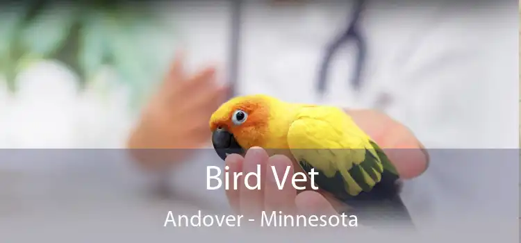 Bird Vet Andover - Minnesota