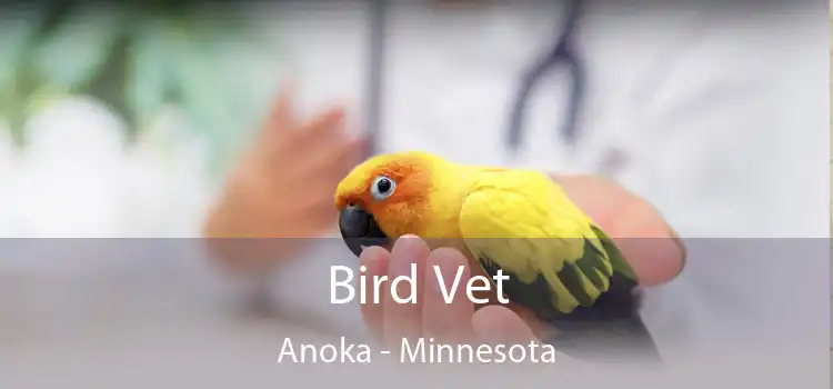 Bird Vet Anoka - Minnesota