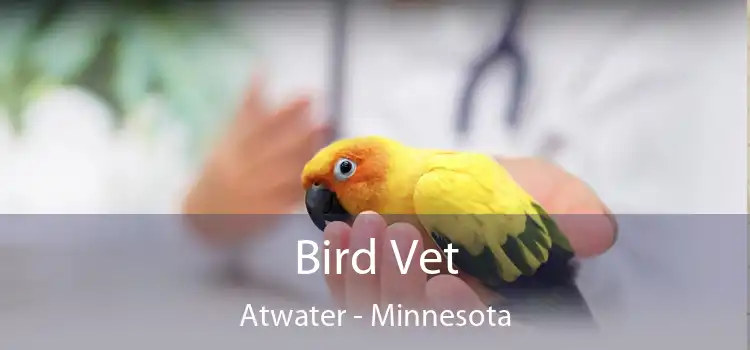 Bird Vet Atwater - Minnesota