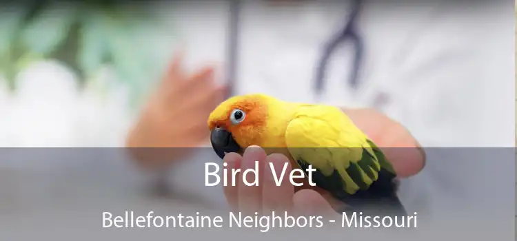 Bird Vet Bellefontaine Neighbors - Missouri