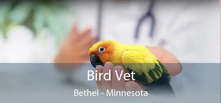 Bird Vet Bethel - Minnesota