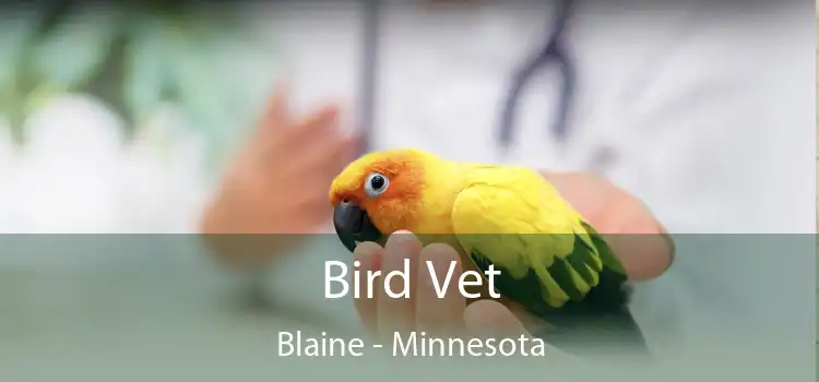 Bird Vet Blaine - Minnesota