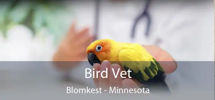 Bird Vet Blomkest - Minnesota