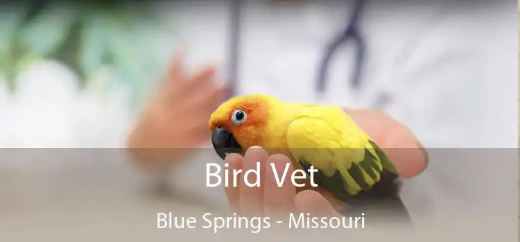 Bird Vet Blue Springs - Missouri